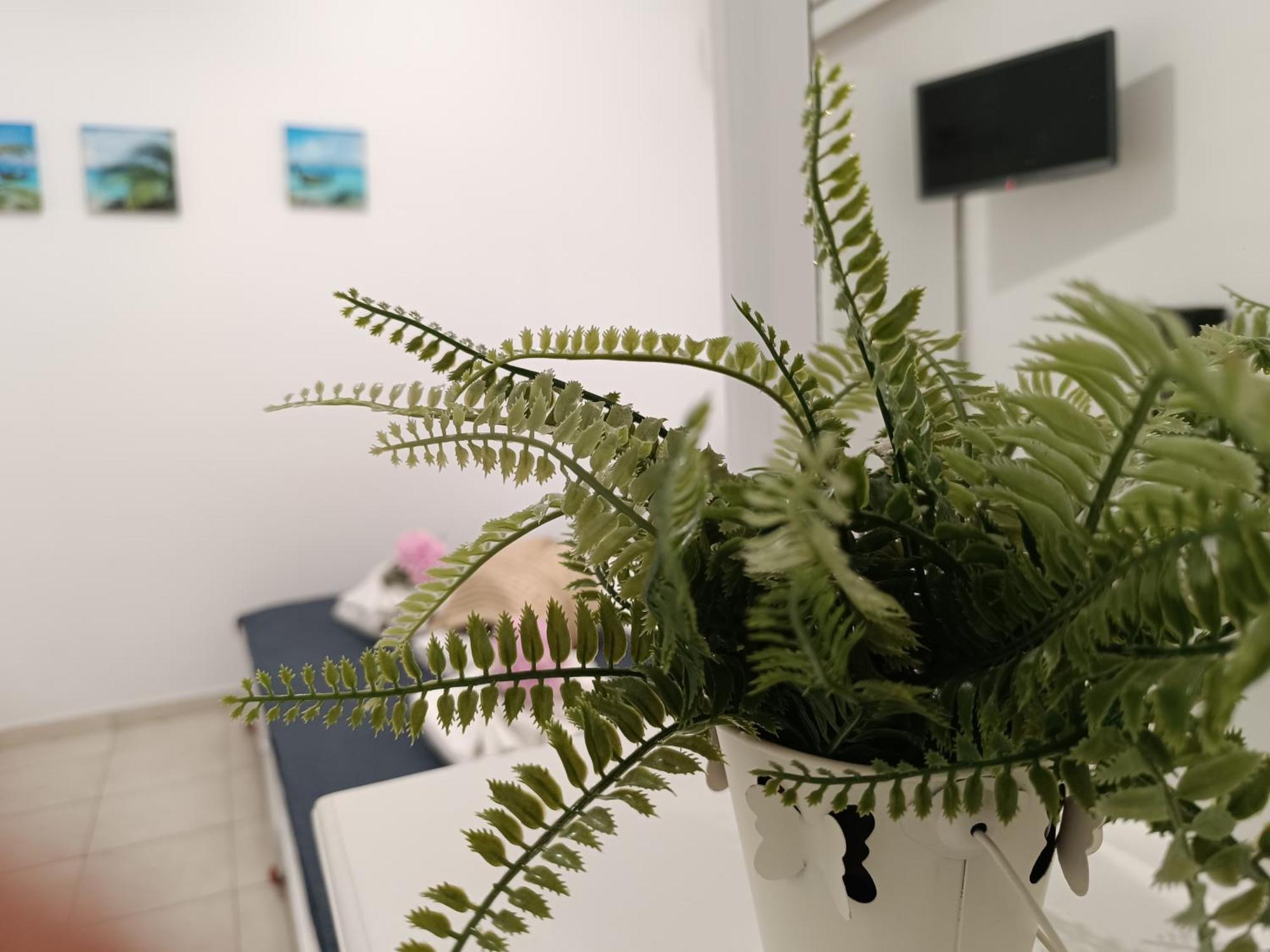 Nautilus City Studios & Apartments Rhodes City 部屋 写真